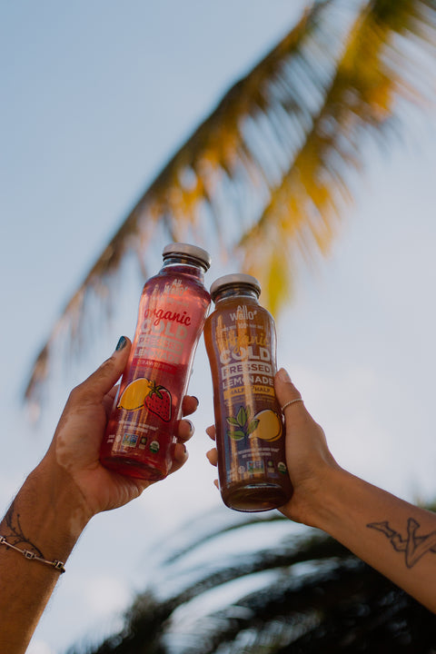 Organic Cold-Pressed Half Iced Tea & Half Lemonade - 6 or 12 PK